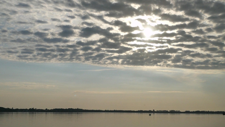 Wire 2020-10-16 at 12-33-35