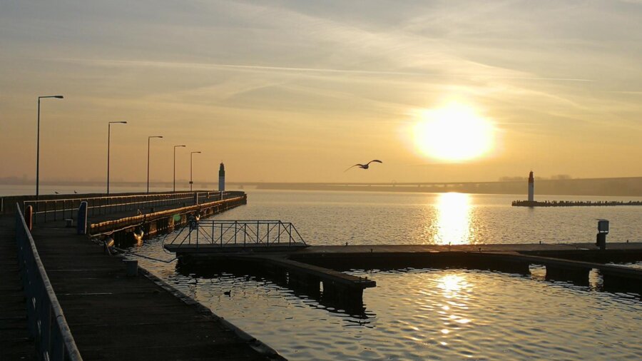 Wire 2019-02-18 at 8_341 AM