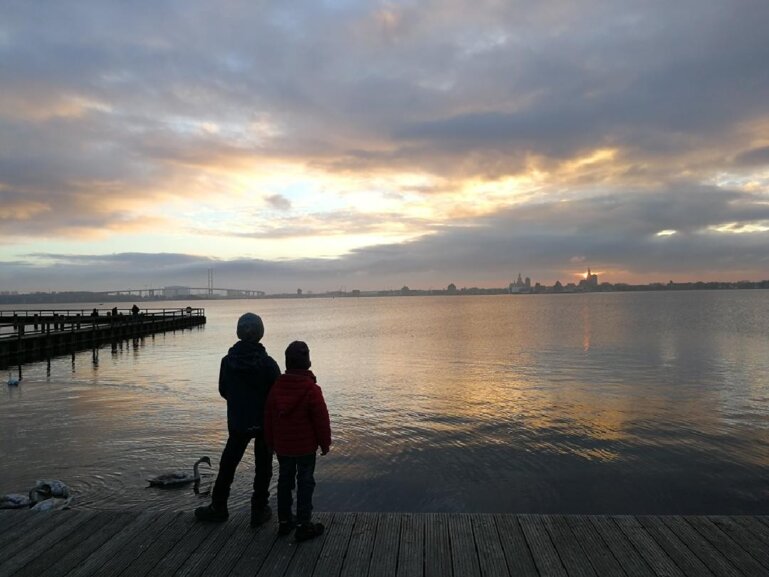 Wire 2018-11-27 at 8_16 AM