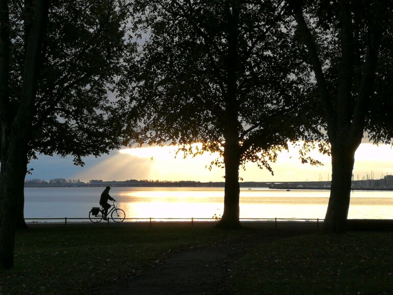 Wire 2019-10-04 at 7_571 AM