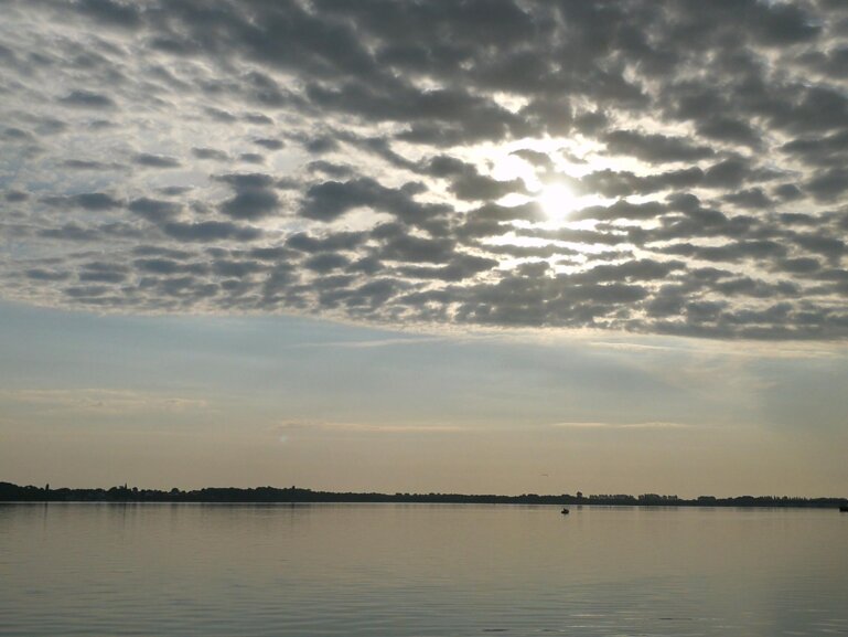 Wire 2020-10-16 at 12-33-35